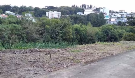 Terreno com excelente localização no Bairro Nova Vicenza com frente leste de 33,00m de extensão.  Área total: 792,00m.  Confira!