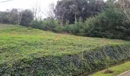 Excelente terreno em Condomínio Fechada na Linha 40!!  Área: 20,61x78,46 = 1.481,65m.  Confira!!