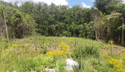 Terreno à venda no Desvio Rizzo, Caxias do Sul  por R$ 155.000