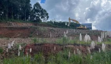 Excelente terreno no Loteamento Vale dos Pinhais no B. São Ciro!!  Área: 13,16x27,36 = 360,00m.  Confira!!