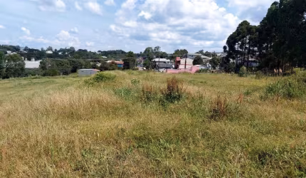 Excelente Área Industrial em ótima Localização e Posição Solar em Ana Rech! Ideal para indústria ou centro logístico.  Área 27.000,00m (2,7 hectares).  Confira!!