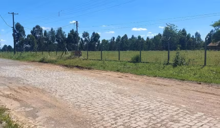 Excelente Área Industrial em ótima localização no Bairro Cidade Nova!!  Área total: 21.184,20m.  Confira!!