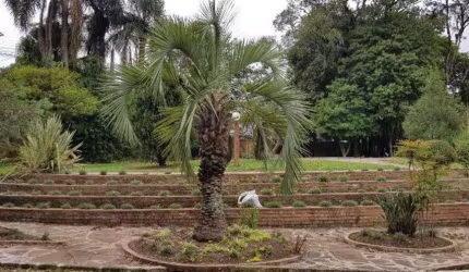 Excelente terreno todo arborizado, com ampla casa principal com salão de festas e de jogos, casa para caseiro e piscina.  Área: 3.920,00m.  Consulte-nos!
