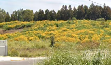 Terreno à venda no Monte Pasqual, Farroupilha  por R$ 200.000