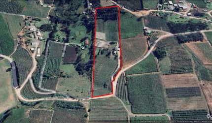 Área de terras com5.0  hectares, 02 casas, estufa, 2.000 pés de pessegueiros, parreiral, nascente de água, açude e área 80% cultivada.  

Aceita como parte do pagamento apartamento ou casa em Farroupi