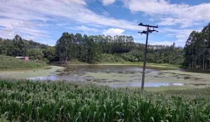 Ótima chácara com 2.5 hectares, localizada na comunidade de Santa Luiza, Carlos Barbosa. À 20km de Farroupilha e 13 Km de Carlos Barbosa, por estrada asfaltada.

Com casa de alvenaria de 60,00m² e nas