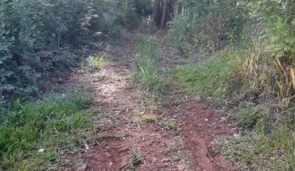 Essa propriedade rural (chácara) conta com uma casa de madeira de pinheiro com 3 quartos, sala e cozinha integradas, banheiro social e garagem para 2 carros. A casa também possui ar condicionado e os 