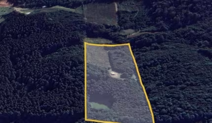 Área de terras localizada próxima os caminhos de pedra, com 4 hectares, parreiral e uma pequena construção de madeira.