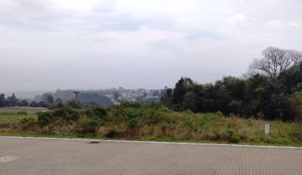 Localizado no Loteamento Sebben, bairro Monte Verde, em Farroupilha/RS, este terreno de 646m² está disponível para venda. Com uma área total ampla e cercado por natureza, o terreno oferece um ambiente