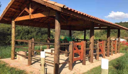 Chácara com 1 dormitório à venda, 4000 m² por R$ 350.000 - Zona Rural - Cunha/SP