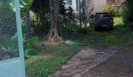 Casa com 2 dormitórios, 642 m² - venda por R$ 750.000,00 ou aluguel por R$ 1.200,00/mês - Cunha - Cunha/SP