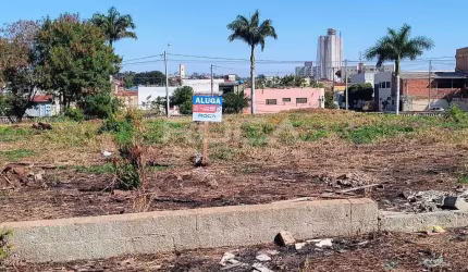 Excelente Terreno/Lote para Alugar na República, Ribeirão Preto
