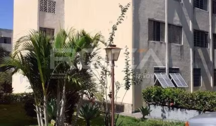 Lindos apartamentos à venda e locação na Vila Virgínia, Ribeirão Preto