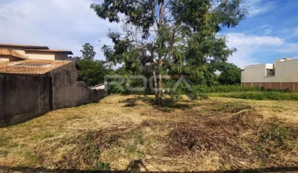 Terreno comercial para alugar no Jardim Itaú, Ribeirão Preto - Oportunidade única!