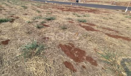 Terreno à venda em condomínio no Condomínio Alto do Castelo
