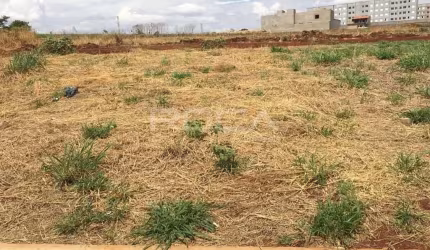 Venda de Terreno / Padrão na cidade de Ribeirão Preto