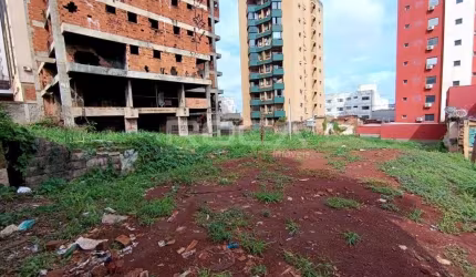 Terreno para Alugar com 446m² no bairro Centro de Ribeirão Preto