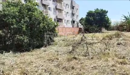 Terreno comercial ou residencial à venda no bairro Ipiranga, em Ribeirão Preto.