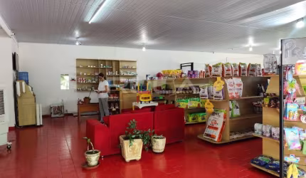 Excelente oportunidade! Loja comercial à venda no  Sumarezinho, Ribeirão Preto
