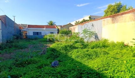 Terreno padrão à venda no Jardim Sumaré, Ribeirão Preto