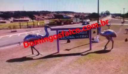 Venda ZonaRural Mineiros/GO