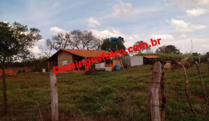 Venda Pinhal Limeira/SP