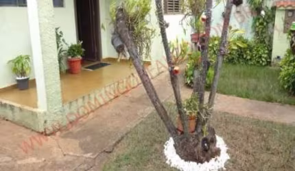 Venda JardimSoFrancisco Santa Bárbara D'Oeste/SP