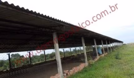 Venda Loiola Limeira/SP