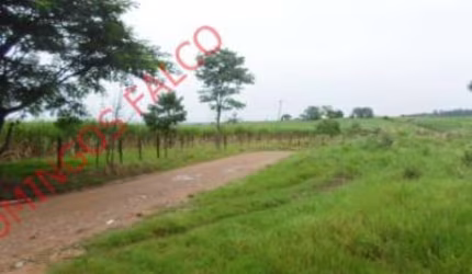 Venda Campestre Piracicaba/SP