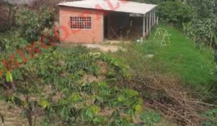 Venda EstradadaBalsa Limeira/SP