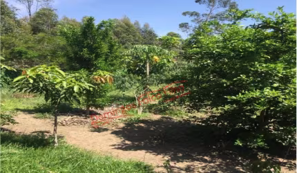 Venda Graminha São Pedro /SP
