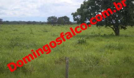 Venda ZonaRural São Félix do Araguaia/MT