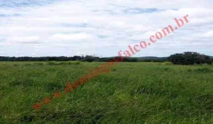 Venda ZonaRural Santa Terezinha/MT