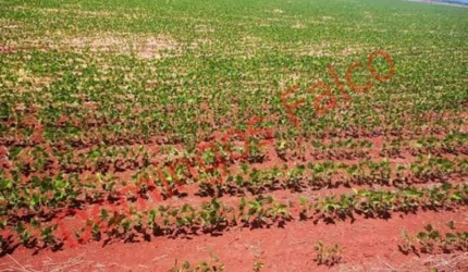 Venda ZonaRural Avaré/SP