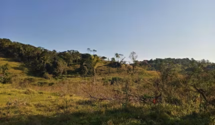 Venda ZonaRural Paranaguá /PR