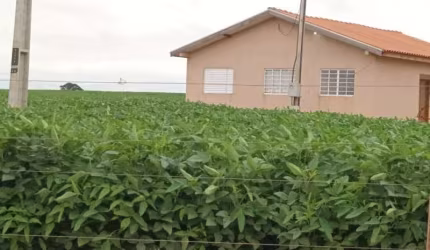 Venda ZonaRural Ivaté /PR