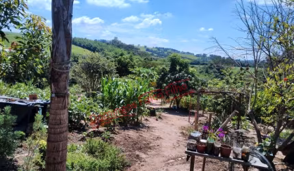 SITIO - VENDE-SE - BAIRRO DOS PIRES - LIMEIRA/SP Venda BairrodosPires Limeira/SP