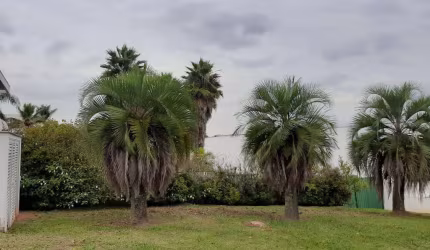 Terreno em condomínio fechado à venda na Alameda Morea, 628, Tamboré, Santana de Parnaíba por R$ 6.500.000