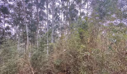Terreno em condomínio fechado à venda na Avenida Andradina, 388, Residencial Tamboré, Barueri por R$ 3.200.000