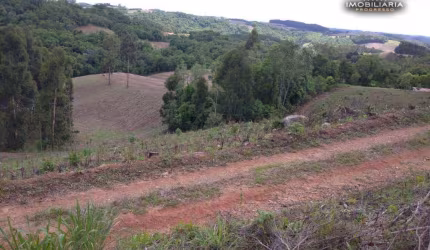 Chácara à venda, 181500 m² por R$ 1.300.000,00 - Centro - Lapa/PR