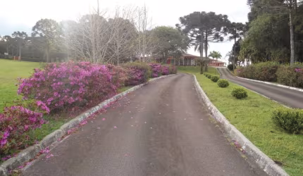 Terreno à venda, 116000 m² por R$ 7.800.000,00 - Jardim Diamante - Campina Grande do Sul/PR