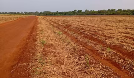 Fazenda de 16 alqueires em cana e grãos a venda em Itumbiara, Goiás