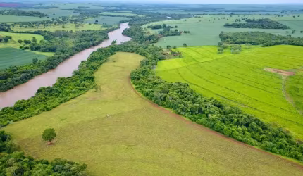Fazenda 63 alqueires a venda para pecuária e agricultura em Goiás.
