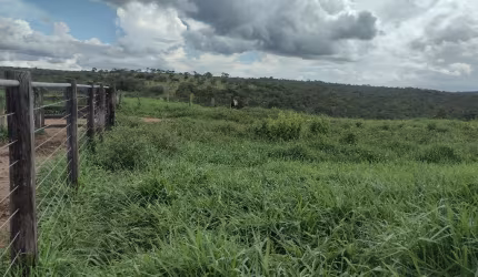 Fazenda de 28 alqueires para pecuária a venda em Goiás