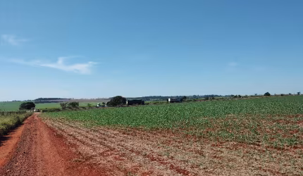 Fazenda de 15 alqueires em lavoura ou cana em Morrinhos, GO.