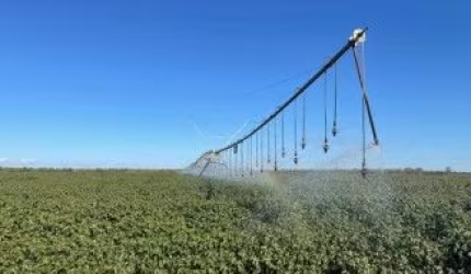 Fazenda altamente produtiva de 1000 alqueires a venda  em Goiás