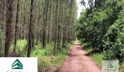 Fazenda à venda em São Simão