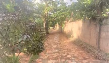 Chácara para Venda em Ribeirão Preto, Parque das Gaivotas, 2 dormitórios, 1 banheiro, 10 vagas