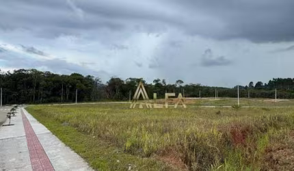 Terreno à venda, 300 m² por R$ 230.000 - Balneário Piçarras/SC