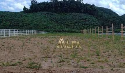 Terreno à venda, 2000 m² por R$ 450.000 - Laranjeiras - Luiz Alves/SC